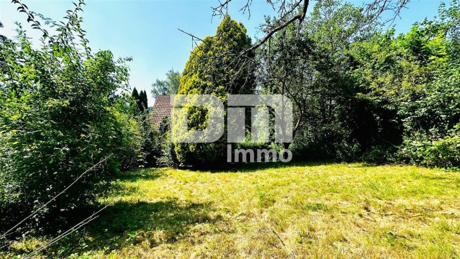 Herrschaftliches Ein- /Zweifamilienhaus BJ 1949 mit großem Garten in Traumlage - Gartenbereich